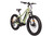 FT1000MD Mid-Drive Electric Bike - Wasabi